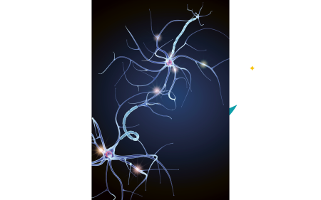 Maintaining the Brain: Neurons that Fire Together Wire Together