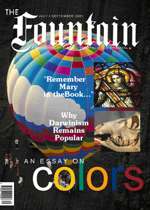 Issue 35 (July - September 2001)