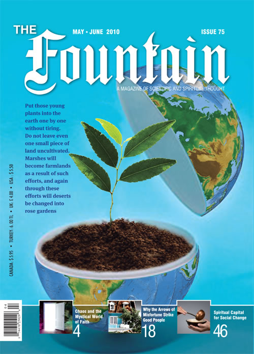Issue 75 (May - June 2010)