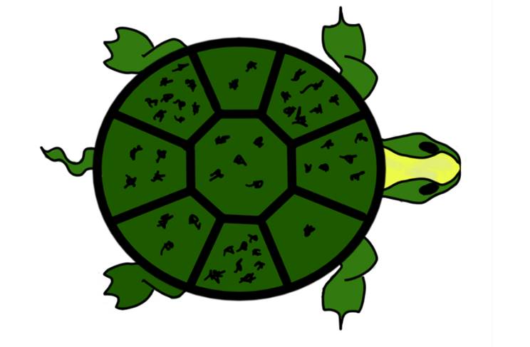 Figure 2 — Spots on the Sacred Tortoise, illustrated by Kerem